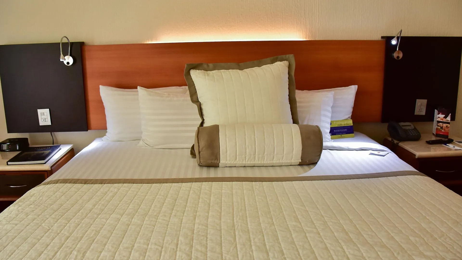 Hotel Guadalajara Plaza Expo
