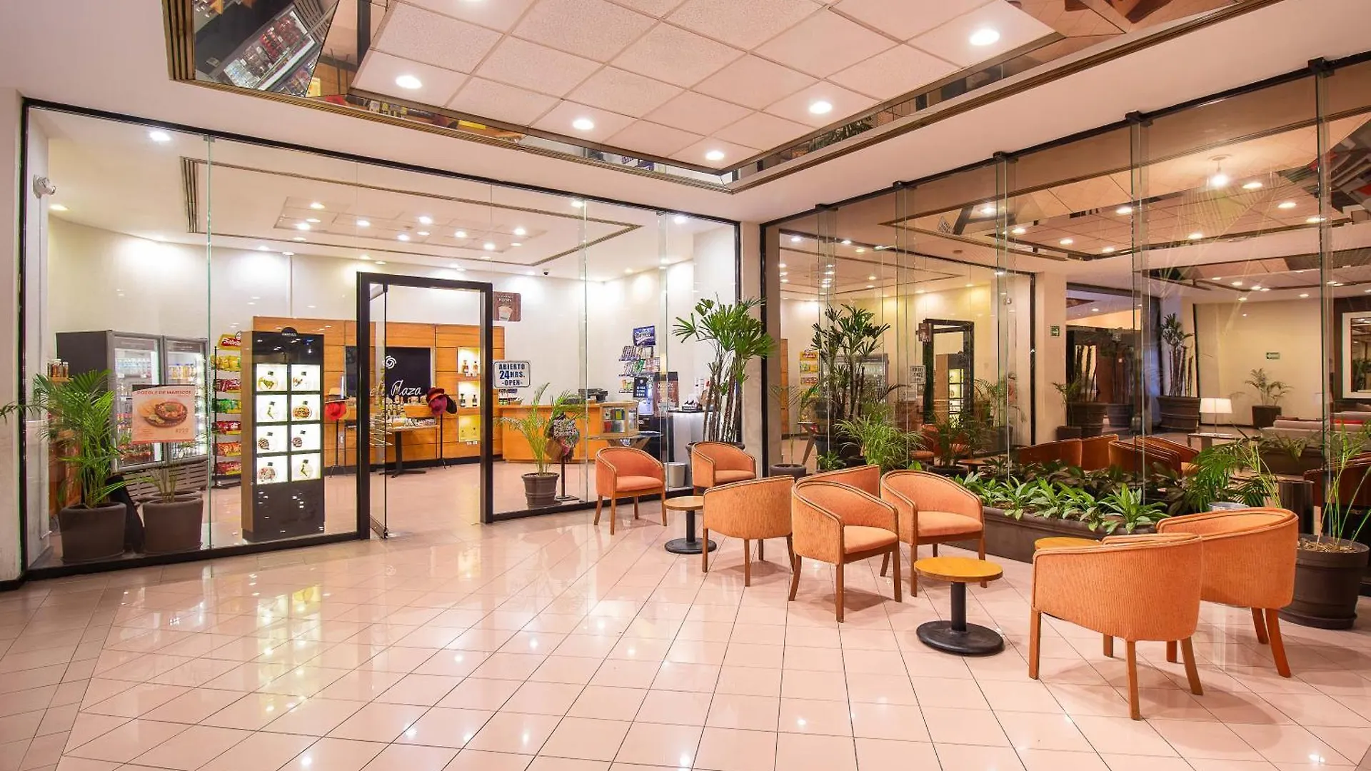 Hotel Guadalajara Plaza Expo Mexico