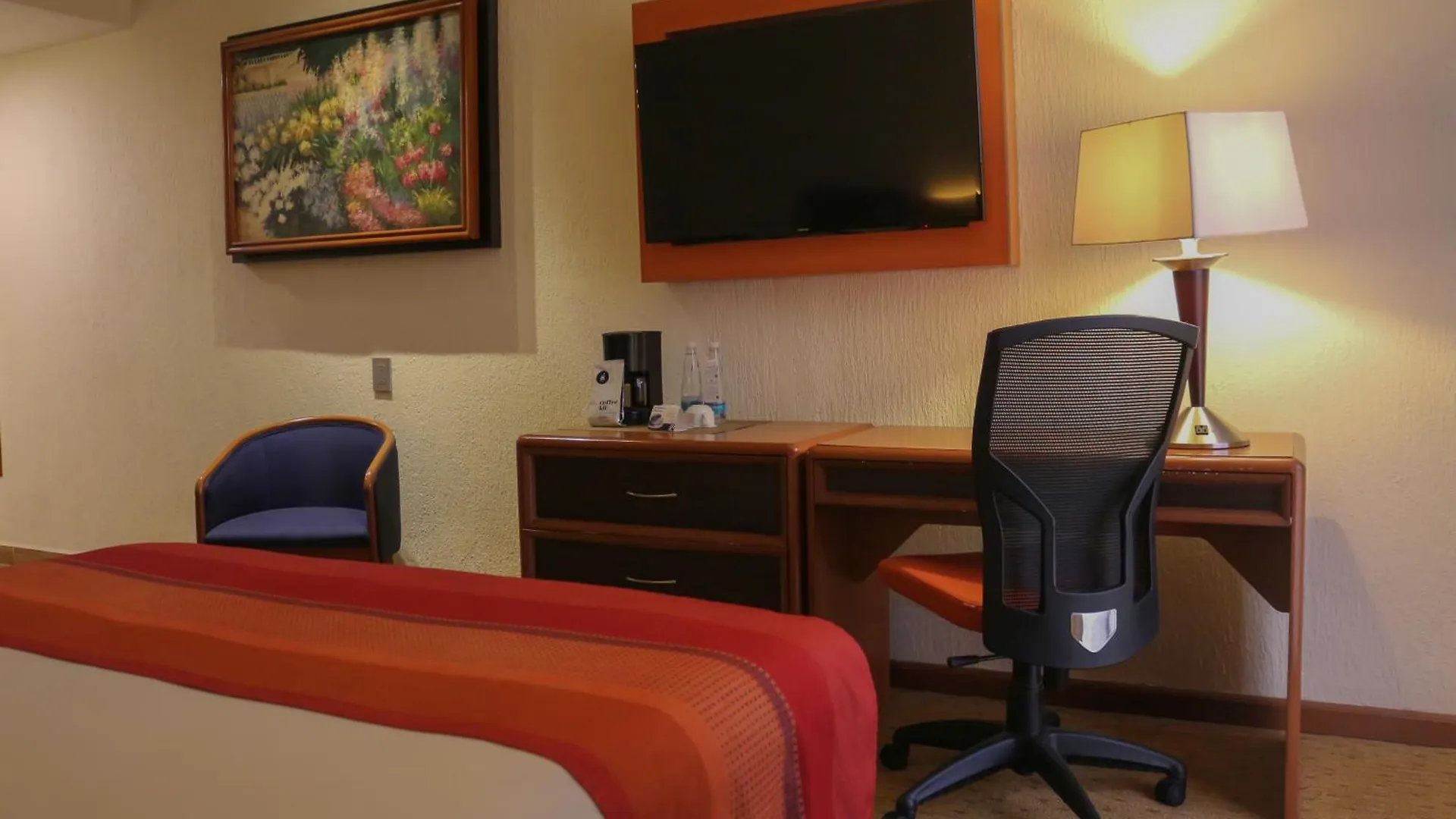 Hotel Guadalajara Plaza Expo